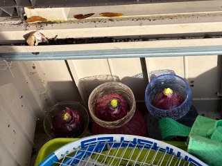 The Nigel Slater Christmas Chronicles Readalong 2024