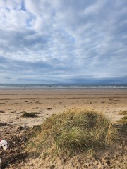 Mounjaro August starters #7