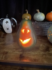 Fat Girl Summer 2 Electric Boogaloo💅☀️