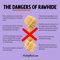 Suggestions for longer lasting but softer dog chews