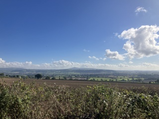 To ask you to show me your beautiful parts of the country