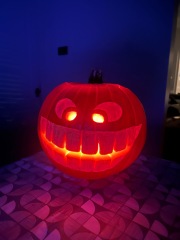 Show us your pumpkins!