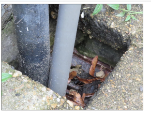 Unmortgageable damp property 