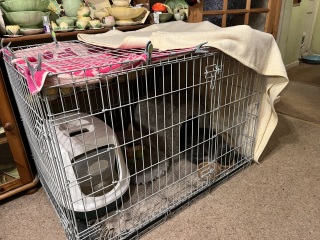 Cage rest