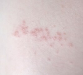 Would anyone know what this could be