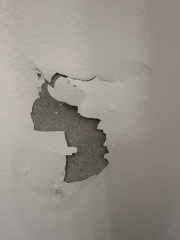 Is this plaster or paint peeling ? (with pics!)