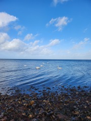 Mounjaro August Starters 6