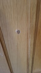 Damaged door how to disguise hole