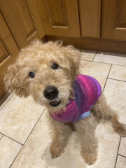 Stitch and bitch thread #10. There’s a pattern here