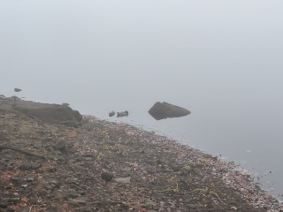 Come and tell me your dull and unexciting news 31: Calmly through the day