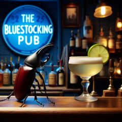 Bluestockings & Orange Wellies: Welcome to the Degu Station!