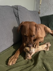 Season of mist and mellow fruitfulness...and ramping up those Christmas preparations! Countdown to Christmas 2024 (thread 3) (title edited by MNHQ @request of OP)