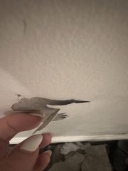 Is this plaster or paint peeling ? (with pics!)