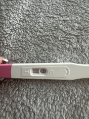 Trying to conceive early pregnancy positive ovulation test