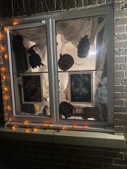 Halloween deco/ pumpkins 2024.