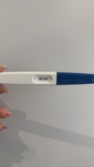 Lines eyes if no one minds