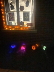Halloween deco/ pumpkins 2024.