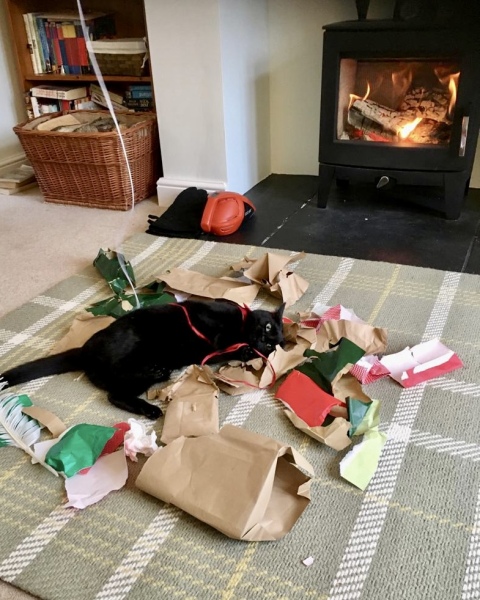 Cat Christmas Presents