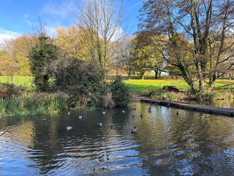 The Nigel Slater Christmas Chronicles Readalong 2024 Part 2