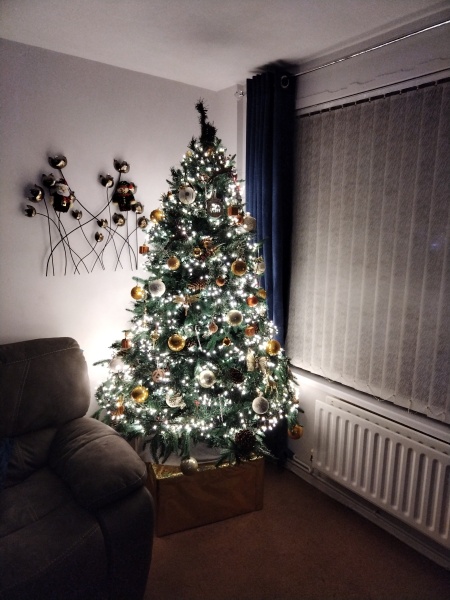 Show us your Christmas trees