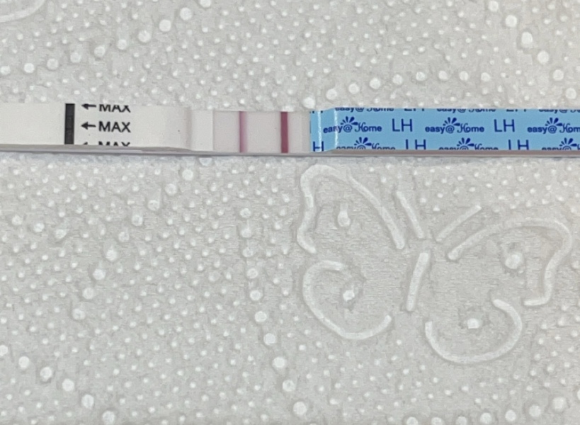 Ovulation test at cd8
