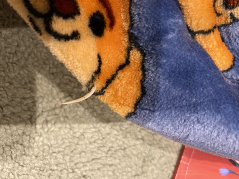 What do you think this is?