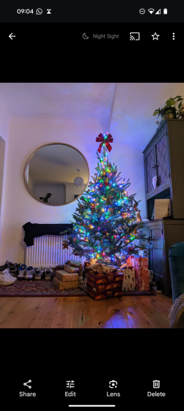 Show us your Christmas trees