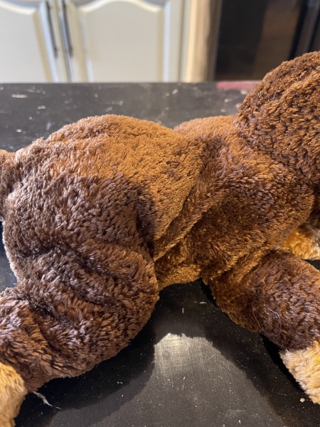 Please help me find this toy!!