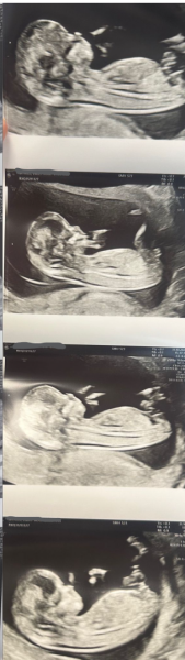 Nub theory prediction wrong?