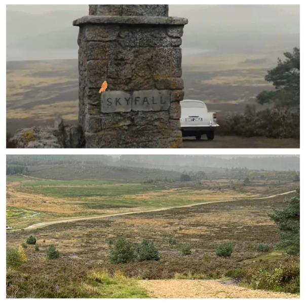 Anyone any good at photo editing & could put my camel on top of the Skyfall train?