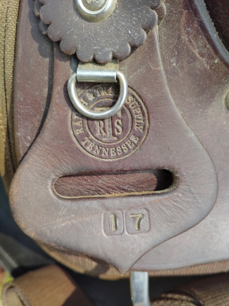 Tennessee Ranch and trail saddles?