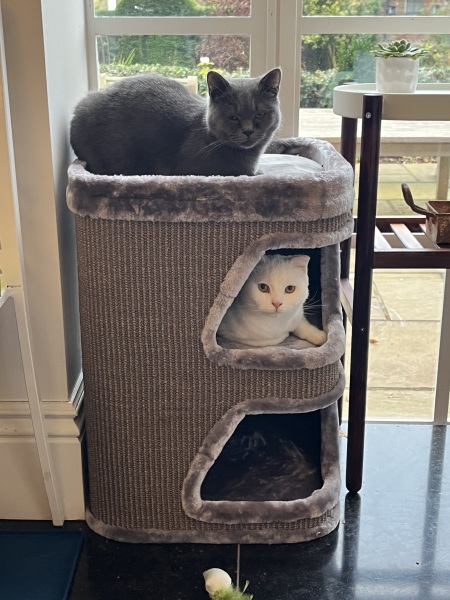 Letting them out for the first time