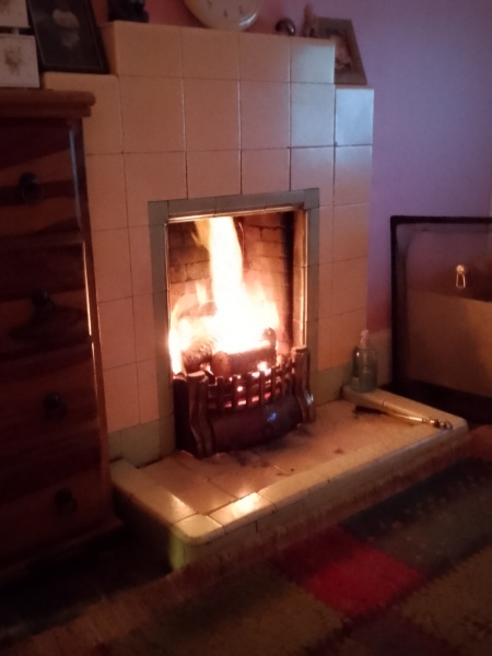 Has anybody got a fire or logburner lit at home today?