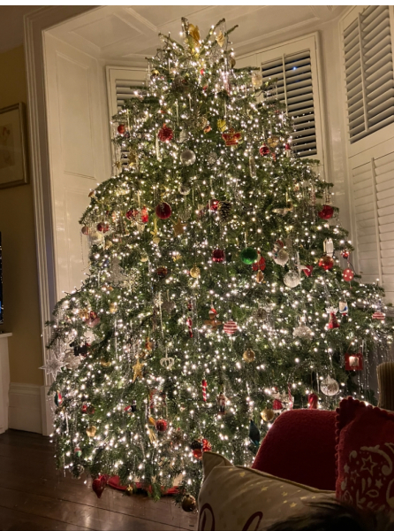 Show us your Christmas trees