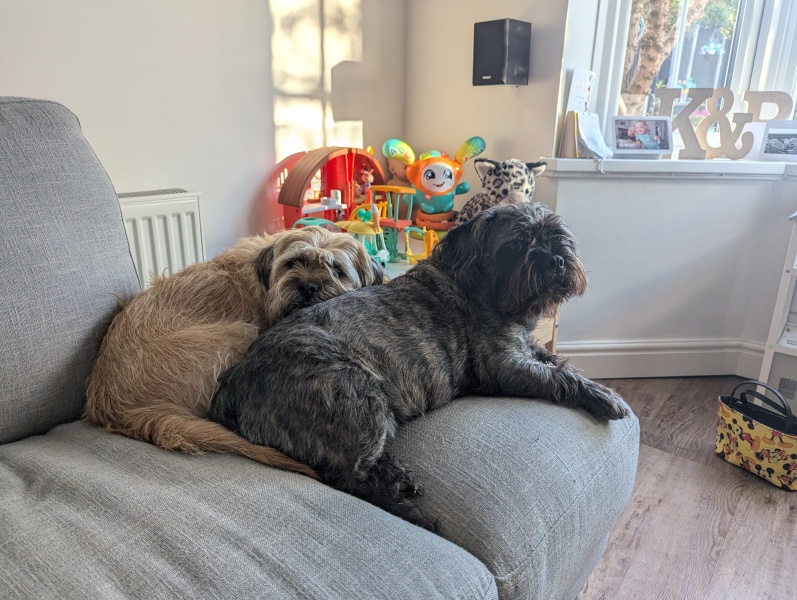 Which breed?