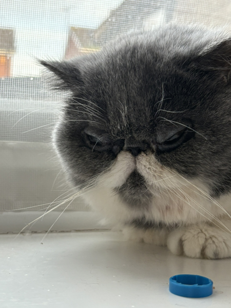 Magnificent Moustaches