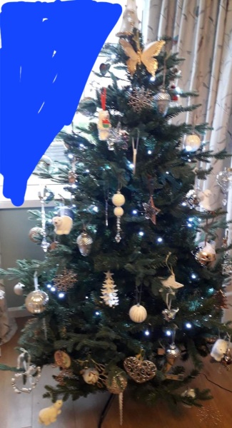 Show us your Christmas trees