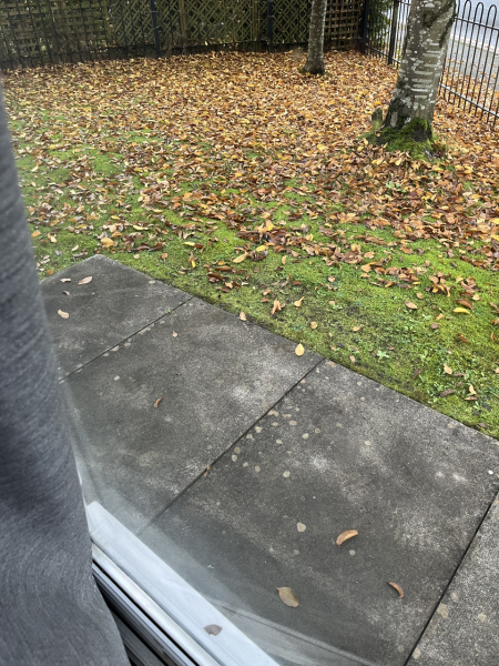 It’s snowing ❄️