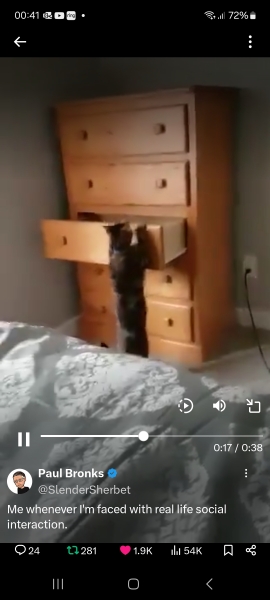 Bluestocking: the one where Boiled gets to the bar first!