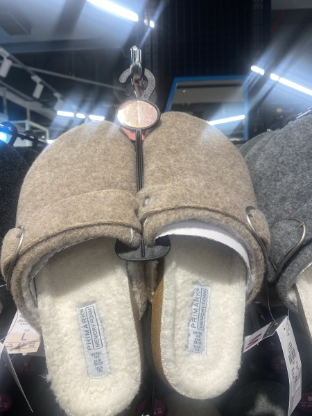 Are these shoes or slippers?