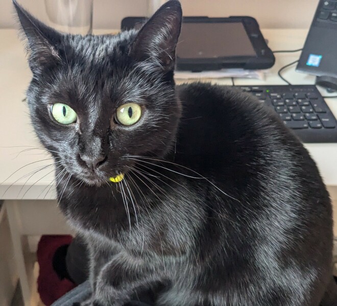 Bluestocking: Do androids dream of electric hair?