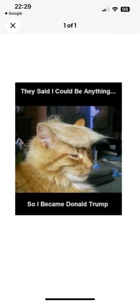 What's True Pussycat? - Trump Thread #134
