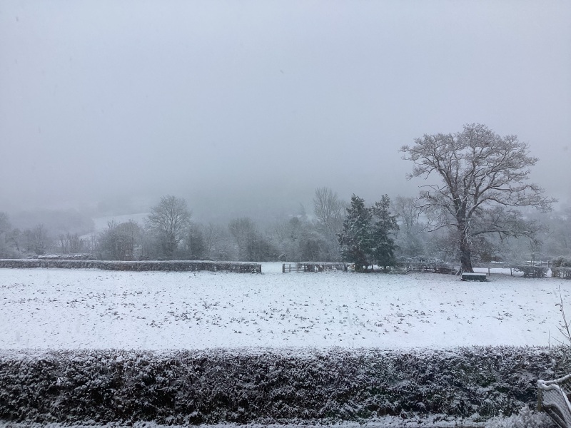 Season of mist and mellow fruitfulness...and ramping up those Christmas preparations! Countdown to Christmas 2024 (thread 3) (title edited by MNHQ @request of OP)