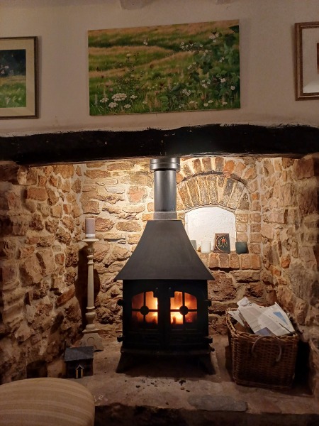 Has anybody got a fire or logburner lit at home today?