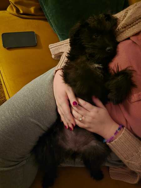 Puppy Survival Thread for New and Old Pups - here comes winter 2024