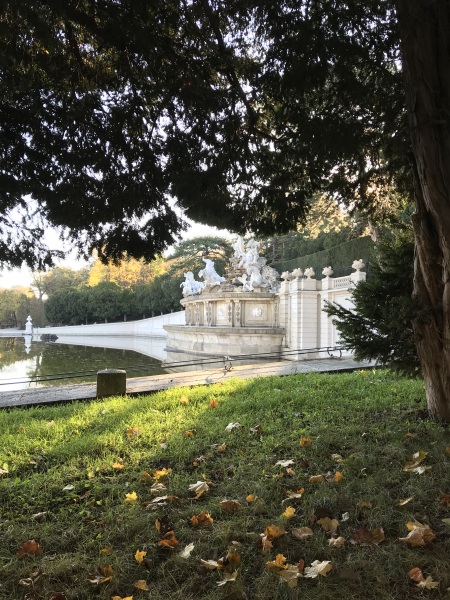 Vienna recommendations