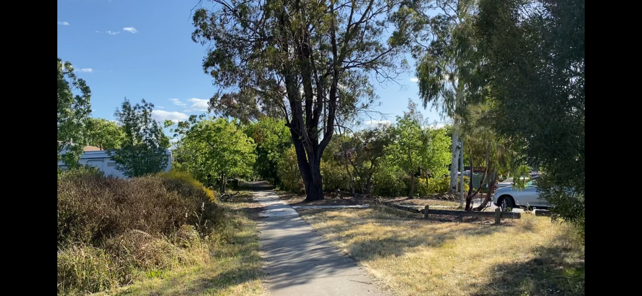 House that ticks boxes vs wildcard option?