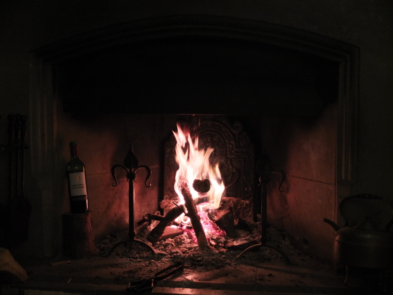 Has anybody got a fire or logburner lit at home today?