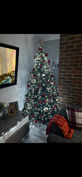 Show us your Christmas trees