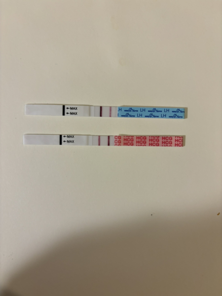 2dpo today, company welcome :)